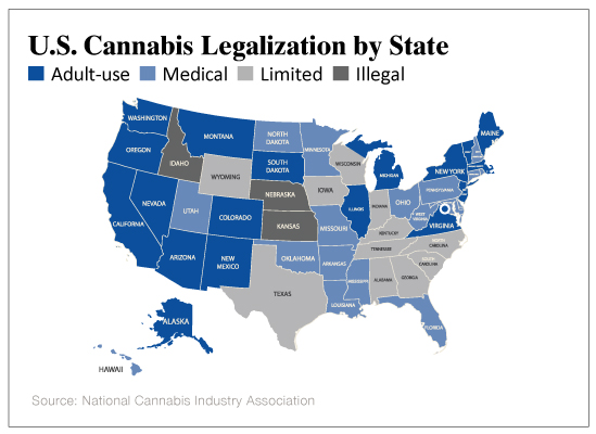 The 2021 Cannabis Investing Road Map | The Oxford Club